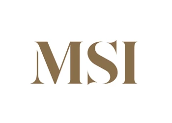 MSI logo